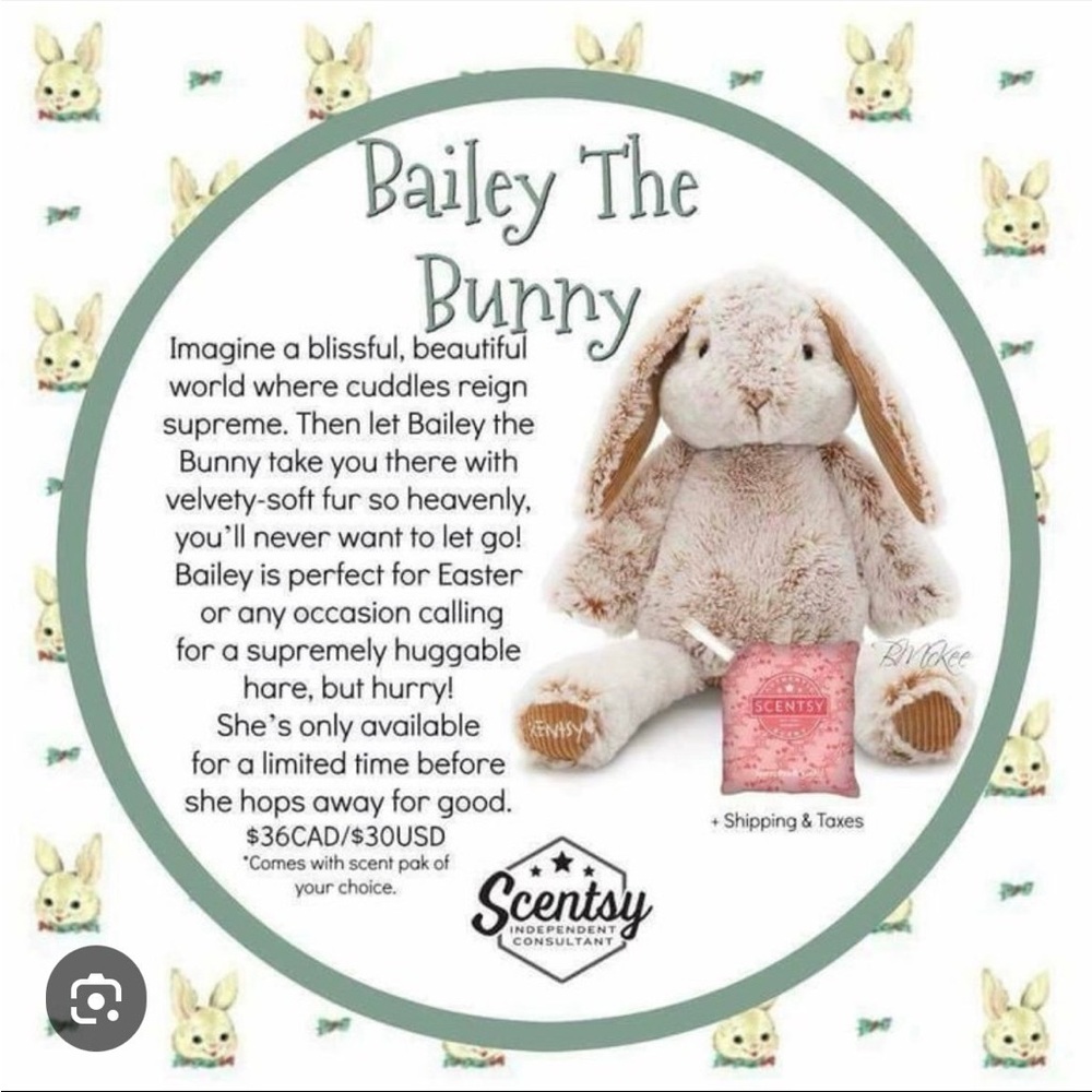 Bailey The Bunny Scentsy Buddy Stuffed Animal & Scent Pak
